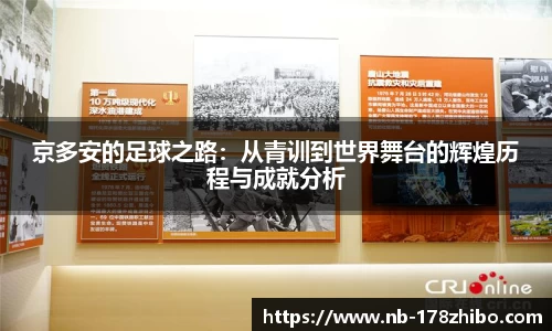 京多安的足球之路:从青训到世界舞台的辉煌历程与成就分析